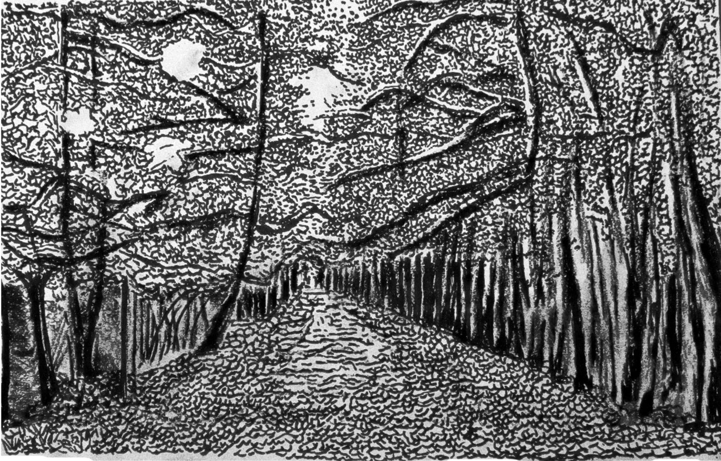 Esfahan in Summer - Sonarta.com